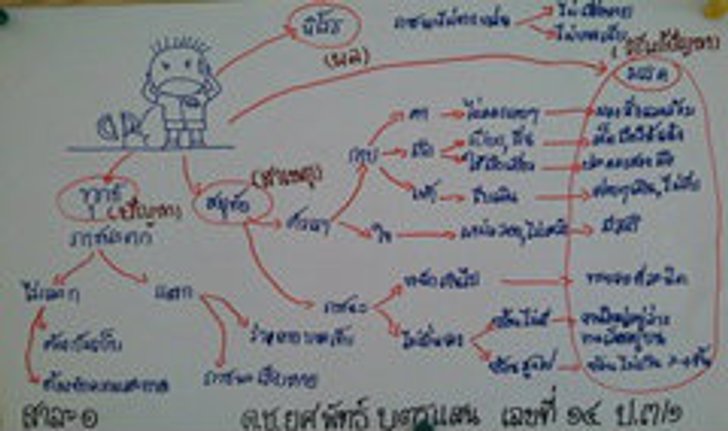 ฮือฮา! เด็กป.3 เขียน Mind Map ขั้นเทพ