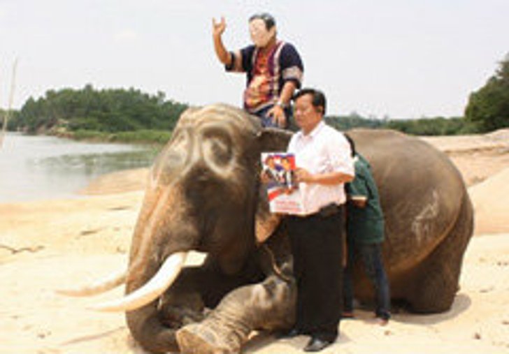 แดงสุรินทร์ คัดช้าง9เชือก ถอนคุณไสย์ให้ทักษิณ