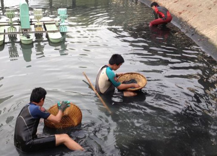 นักประดาน้ำงมคลองไทยรัฐพบเทปพันสายไฟ2ชิ้น