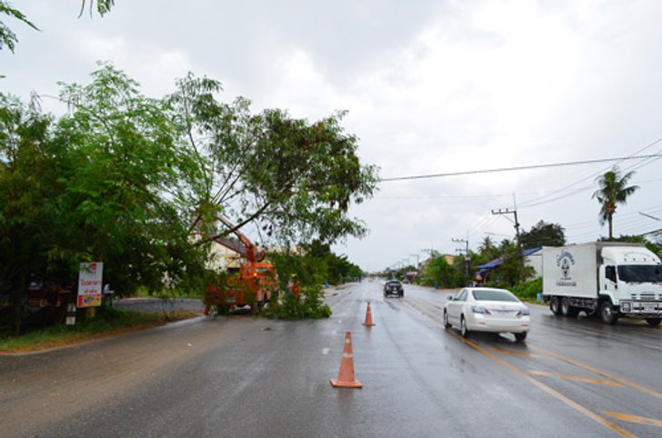 พัทลุง-ลมพัดแรงต้นไม้หักโค่นพาดสายไฟฟ้าขาด