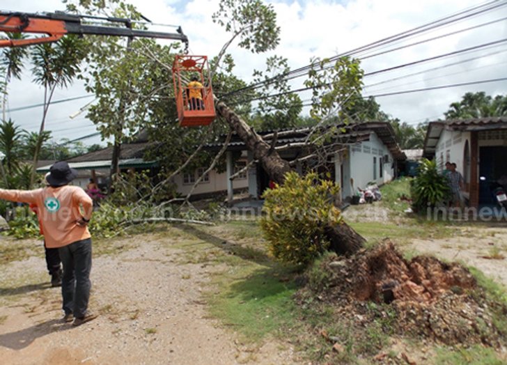 ฝนถล่มตรังหลังคาร.ร.ปลิว-ไม้หักทับสายไฟฟ้า