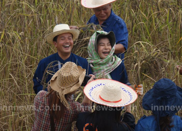 ผู้ว่าฯอุดรเกี่ยวข้าวลงแขกสานวัฒนธรรมเกษตร