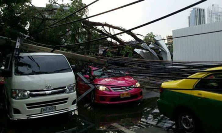 พายุฝนถล่มกรุง ต้นไม้หน้า สตช.ล้มขวางรถไฟฟ้า BTS