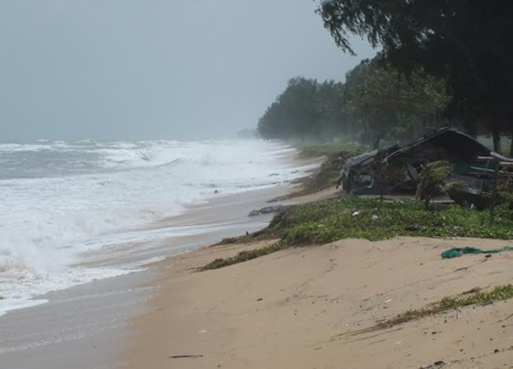 ประมงนครศรีฯระดมไม้ไผ่ป้องกันแนวหาด