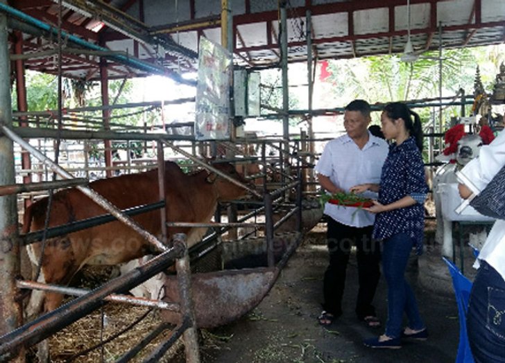 ประชาชนทำบุญวันเข้าพรรษาวัดหัวลำโพงคึก
