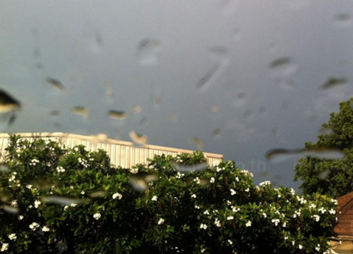 ภาคเหนือตอ.และใต้ยังมีฝนหนักบางพื้นที่-กทม.ตก40%