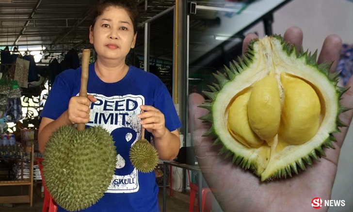 กำลังดัง! ทุเรียนจิ๋วพันธุ์พวงมณี อร่อย น่ารัก ขายดีเกลี้ยงสวน