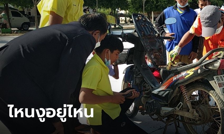 แห่ส่องเลขรถ