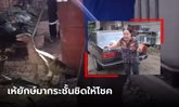 ยายสะดุ้ง เจอ "เห้ยักษ์" อ้าปากวิ่งใส่ แต่ยังเชื่อมาให้โชค กู้ภัยฯ ส่องเจอเลขเด็ด 2 ตัว