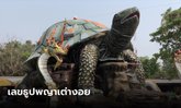 คอควยไม่พลาดที่นี่ ส่องเลขธูปพญาเต่างอย ได้ 3 ตัวชัดๆ ไปลุ้นรวยโค้งสุดท้าย