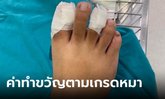 หมาโรงน้ำแข็งกัดลูกค้า เจ๊ขอจ่ายค่ารักษาคนละครึ่ง ลั่น "หมาฉันเกรดเอ" ห๊ะ??