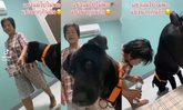 เปิดเบื้องหลังคลิป สาวตัดพ้อโดนหมาแย่งแม่-น้ำดื่ม เฉลยทำไมแม่รัก "อิเข่ง" มาก