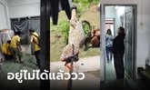 เผลอตีจนตาย "ตุ๊กแกผี" เฮี้ยนหนัก ร้องระงมทั้งคืนแต่ไม่มีตัว หลอนจนอยู่บ้านไม่ได้