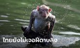 กรมควบคุมโรค ตั้งศูนย์ปฏิบัติการภาวะฉุกเฉิน รับ "ฝีดาษลิง" ยันยังไม่พบในไทย