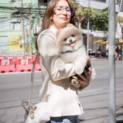 แอน ทองประสม