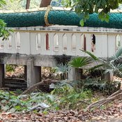 อุดรธานี 090366 เจอตัวเลขปริศนาที่ต้นมะเดื่อข้างสะพานเข้าเกาะคำชะโนดเตือนนักท่องเที่ยวอย่าเข้าใกล้ใต้สะพานเข้าเกาะให้ระวังจงอางกกไข่
