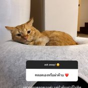 แพทริเซีย กู๊ด