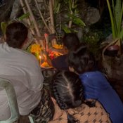 สุรินทร์-งวดนี้มาแน่..ต้นวาสนาออกดอกครั้งแรกในรอบ 14 ปี เจ้าของถือโอกาสขอโชคขอลาภ หวังวาสนาหนุนส่ง ได้เลขสวยตามแถมเลขท้ายตรงกับเลขที่บ้านอีกด้วย