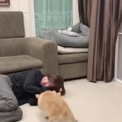 ใบเฟิร์น พิมพ์ชนก