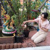 แห่ส่องเลขเด็ด &#8220;เฟี้ยว์ฟ้าว&#8221; เผยภาพปาฏิหาริย์พิธีใหญ่ บวงสรวงสร้างถ้ำแม่ย่าธานี