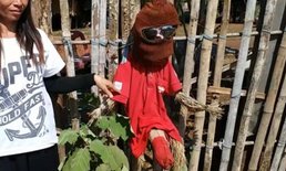 เชื่อผีแม่ม่ายเฮี้ยน คร่าผู้ชายไปแล้ว 5 ศพ แห่แขวนของขลังกันผัวตาย