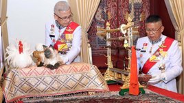 พระราชพิธีบรมราชาภิเษก: เผยชื่อแมววิเชียรมาศที่ใช้ในพระราชพิธีเฉลิมพระราชมณเฑียร