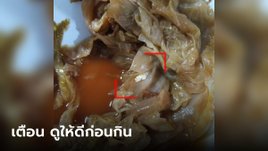 สาวเตือน ลุกจากโต๊ะกินข้าวแปปเดียว กลับมาไข่แมลงวันเป็นกอง เปิดโลกคนไม่เคยเห็น