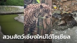 สวนสัตว์เชียงใหม่ โต้ทุกประเด็น โซเชียลโพสต์ภาพเสือผอมโซ บ่อน้ำเขียว ซากนกตาย