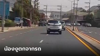 รถคันหลังสะดุ้ง งูตกจากใต้ท้องรถเลื้อยเข้าโรงพยาบาล ซูมทะเบียนกันตาแตก