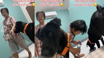 เปิดเบื้องหลังคลิป สาวตัดพ้อโดนหมาแย่งแม่-น้ำดื่ม เฉลยทำไมแม่รัก "อิเข่ง" มาก
