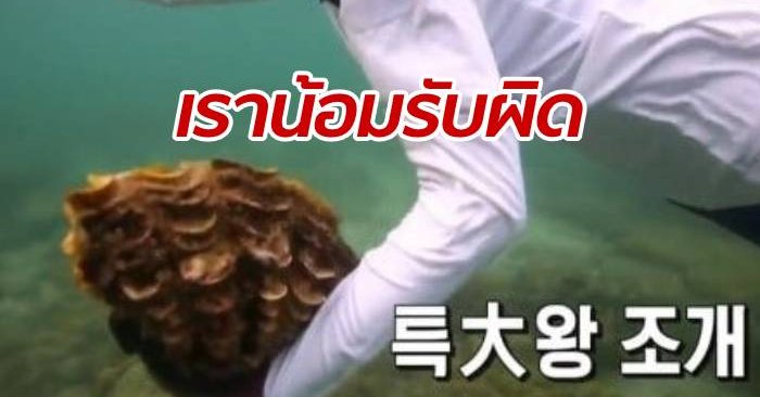 เรียลลิตี้โชว์ดังเกาหลี ออกแถลงขอโทษ ปมดราม่าจับ "หอย ...