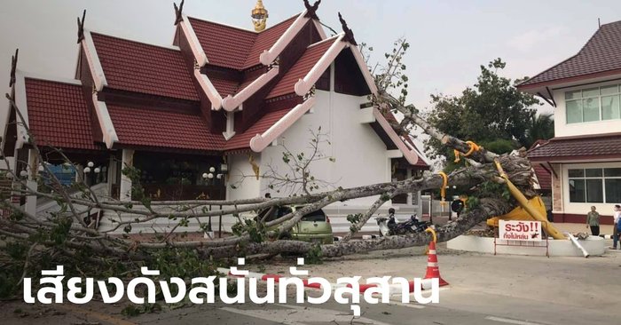 Thrilling Bodhi tree, over 100 years old, collapsed on the car  Lampang people secretly register their registration numbers