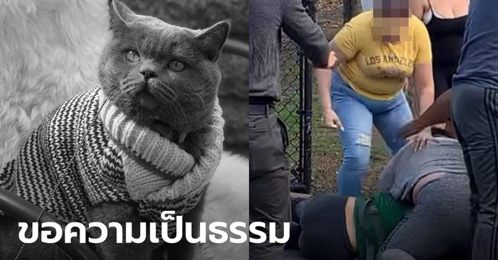 โลกออนไลน์เรียกร้องความยุติธรรม หลังหญิงไทยในสหรัฐถูกครอบครัวโหดทำร้าย-แมวตาย