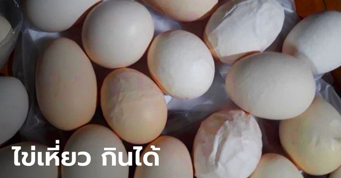 สาวงง! โพสต์ถาม ซื้อไข่ไก่ตอนเช้า ตกเย็นไข่เหี่ยวย่นจนไม่กล้ากิน