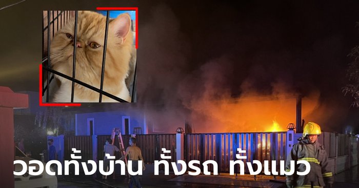 ไฟไหม้บ้านหรู วอดทั้งบ้านทั้งรถ สุดสลดแมวเปอร์เซียถูกไฟคลอกคากรง ดับด้วย 4 ตัว