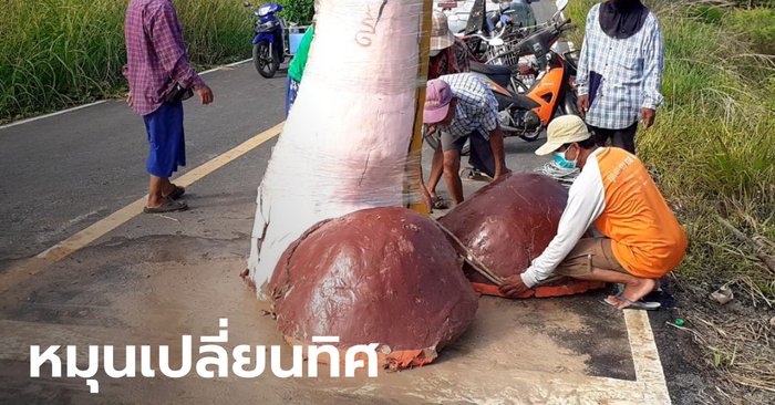 รัดพลาสติกยืดอายุ "ศิวลึงค์" หมุนเปลี่ยนทิศให้ขวางแสงตะวัน หลังฝนตกไม่พอให้เพาะปลูก