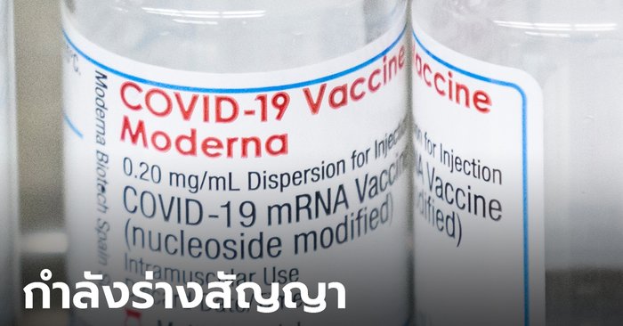 องค์การเภสัชกรรม เผยกำลังร่างสัญญาซื้อวัคซีนโมเดอร์นา คาดนำเข้าเร็วสุดไตรมาส 4