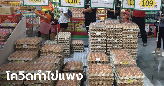 สำรวจตลาดราคาไข่ไก่พุ่งสูง เหตุจากพิษโควิด จังหวัดสีแดงเข้มรับผลกระทบจากการขนส่ง