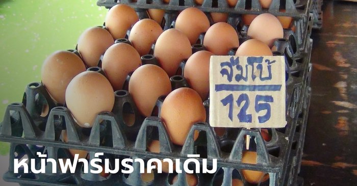 ไข่แพง! ฟาร์มไก่ยันขายไข่หน้าฟาร์มราคาเดิม ชี้พ่อค้าโก่งขายกันที่ปลายทาง