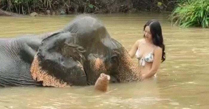 "วาววา ณิชชา" คนสวยใจบุญ อาบน้ำให้ช้าง ช็อตนี้ยากจะละสายตาจริงๆ (คลิป)