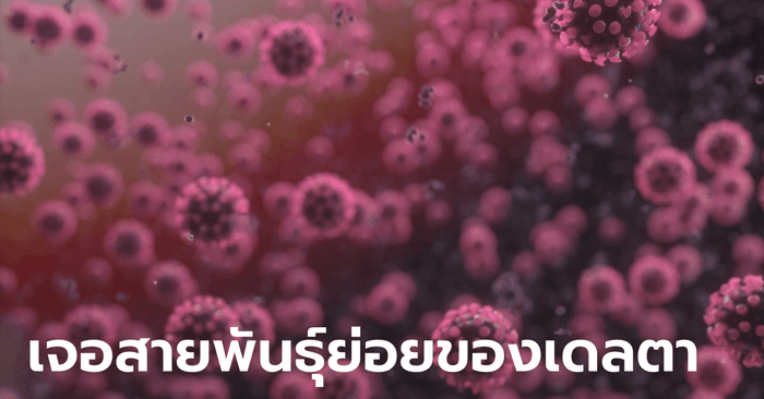 สธ.เผย 8 จังหวัดพบไวรัสโควิดกลายพันธุ์ 4 ตัว! เป็นลูกหลานของเดลตาที่ระบาดในไทย