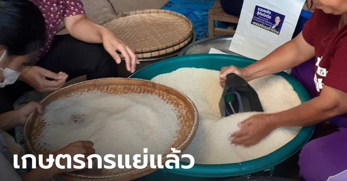 เพื่อไทย-ไทยสร้างไทย พร้อมใจจี้รัฐบาลช่วยเกษตรกร ราคาข้าว สินค้าเกษตรตกต่ำ