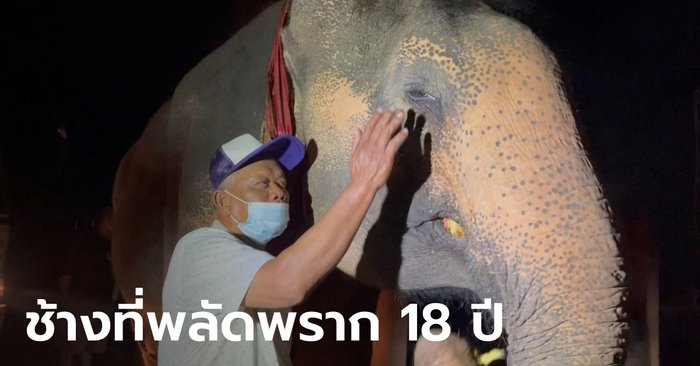 ต่อสู้ยาวนาน 18 ปี เจ้าของรับ "พังโย" กลับบ้านหลังชนะคดี น้ำตาไหลทั้งคนทั้งช้าง