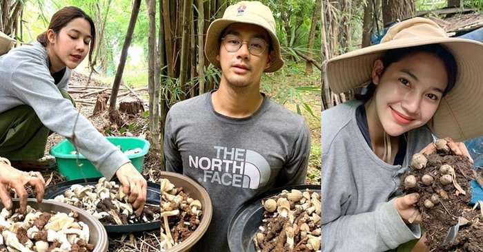 "เพ็ชร ฐกฤต" อวดผลงานสุดภูมิใจ เข้าป่าเก็บเห็ดโคน ได้กลับมาเพียบ