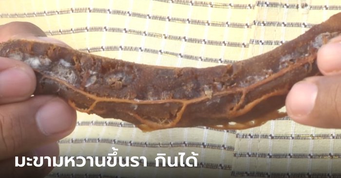 The deputy governor shows to eat “moldy sweet tamarind”, research shows that antioxidants are 1,000 times more than usual.