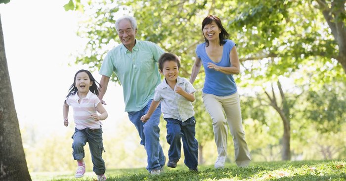 “Maintaining a Healthy Body for the Elderly: The Importance of HMB Nutrient for Muscle Maintenance and Strengthening the Immune System with FOS Fiber, Vitamins, Minerals, and Appropriate Energy – A Comprehensive Guide with 120 Clinical Studies and No Negative Effects”