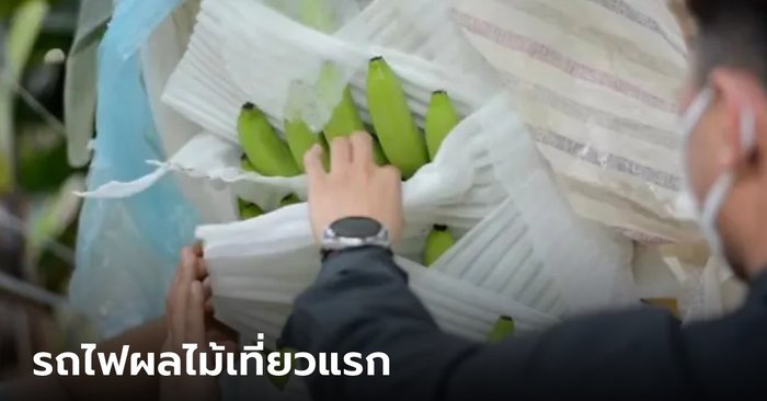 “Fruit Train” from Thailand-Laos transports more than 1,300 tons of longans bananas directly to China for the first time