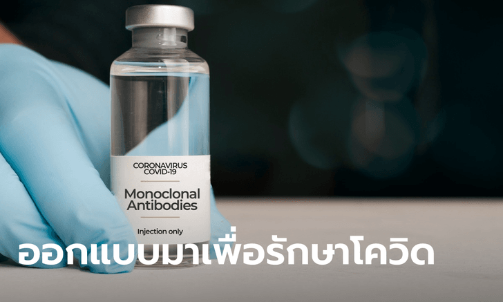 ราชวิทยาลัยจุฬาภรณ์ เตรียมนำเข้ายา “โมโนโคลนอล แอนติบอดี” เพิ่มทางเลือกรักษาโควิด