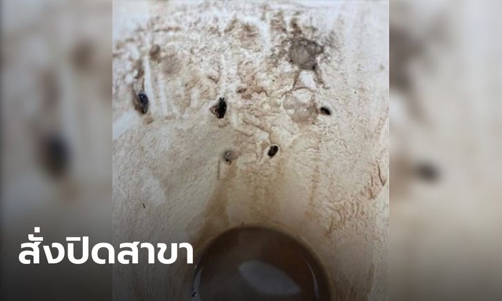 ร้านกาแฟดังขอโทษ-สั่งปิดสาขาชั่วคราว หลังสาวพบแมลงสาบในแก้วช็อกโกแลต