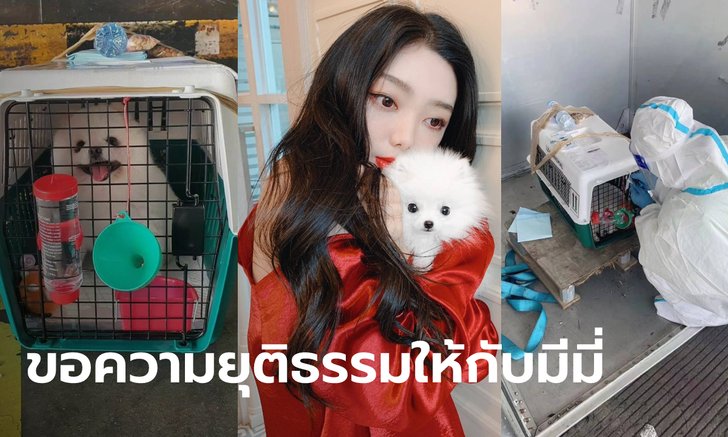 ดราม่า นักร้องสาวจีนส่งหมาขึ้นเครื่องบิน สุดท้ายหมาตาย "การบินไทย" เคลื่อนไหวแล้ว